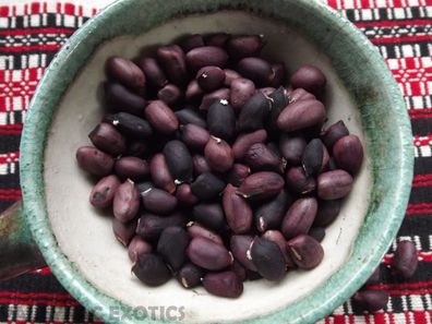 Schwarze Erdnuss - Black Peanut - 5+ Samen - Seeds FEINE RARITäT! H 043