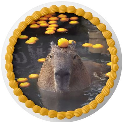 Essbar Capybara Wasserschwein Tortenaufleger Tortenbild Fototorte Zuckerbild 1