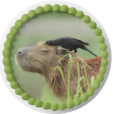 Essbar Capybara Wasserschwein Tortenaufleger Tortenbild Fototorte Zuckerbild 3