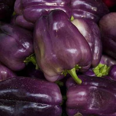 100Pcs / Bag Sweet Pepper Seeds Bell Shaped High-Yielding Purple Non GMO Gemüsesamen