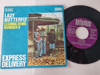 Express Delivery - Lazy butterfly 7'' Vinyl Germany