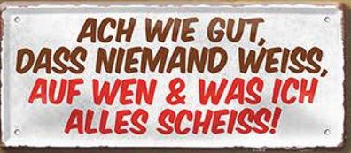 Ach wie gut, das niemand weiss, Blechschild 28 x 12 cm, D0833