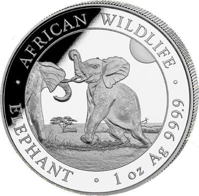 Somalia Elefant 1 Unze Silbermünze 2024