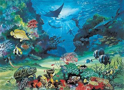 Lebendiges Great Barrier Reef