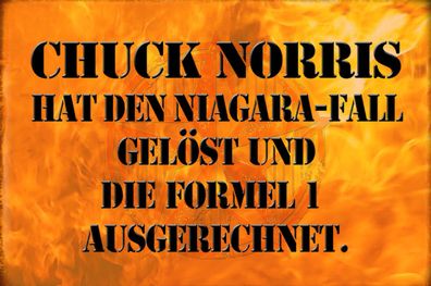 Top-Schild mit Kordel, 20 x 30 cm, Chuck Norris, Actionheld, Formel 1, neu & ovp