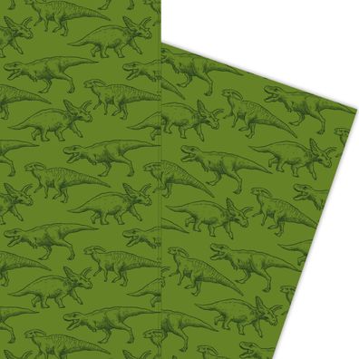Klassisches Dinosaurier Geschenkpapier für die Forscher von morgen, grün - G5852, 32