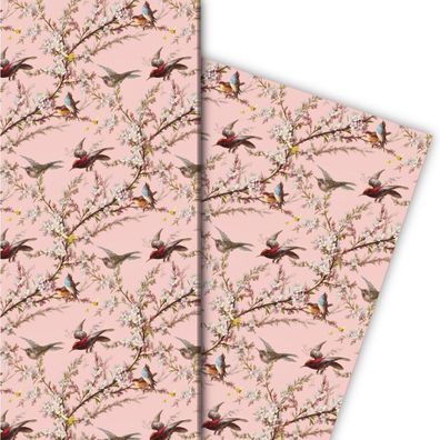 Frühlings Geschenkpapier mit Blüten und Vögeln auf rosa - G7723, 32 x 48cm