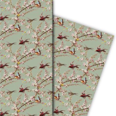 Frühlings Geschenkpapier mit Blüten und Vögeln auf grün - G7725, 32 x 48cm