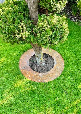 Rasenkanten Baumring FLACH Kreis aus Cortenstahl Durchm. 60/90