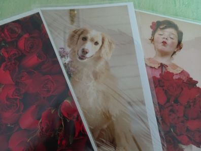 3 alte Grußkarten Mädchen Rosen Hund Mag Dich Liebe Freunschaft Avanti Press