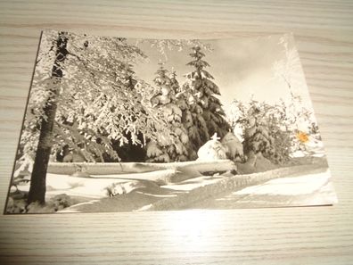 6410/ Weihnachtskarte-Winterlandschaft-Weihnachts-und Neujahrsgrüße