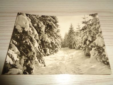 6412/ Weihnachtskarte-Winterlandschaft-Weihnachts-und Neujahrsgrüße