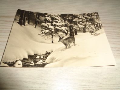 6415/ Weihnachtskarte-Winterlandschaft-Weihnachts-und Neujahrsgrüße