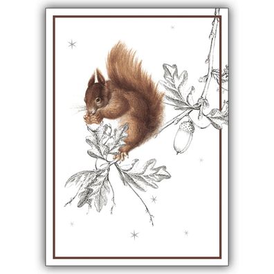 Gruß Klappkarte mit Eichhörnchen nicht nur zu Weihnachten, DIN A6 gefaltet, inkl Umsc