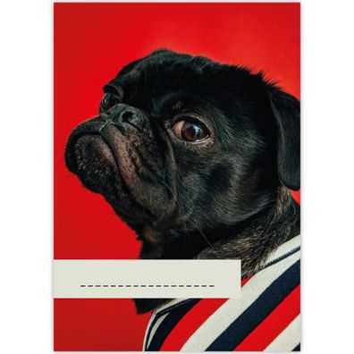 lustiger DIN A3 Malblock Motiv "french bulldog", rot