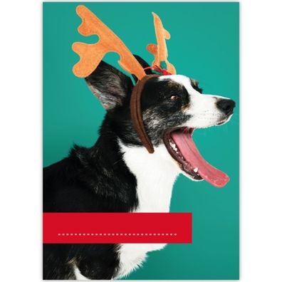 lustiger DIN A3 Kinder Malblock Motiv "Weihnachts Hund", grün