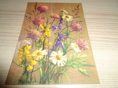 6453/ Ansichtskarte DDR , neutrale Grußkarte - Blumen