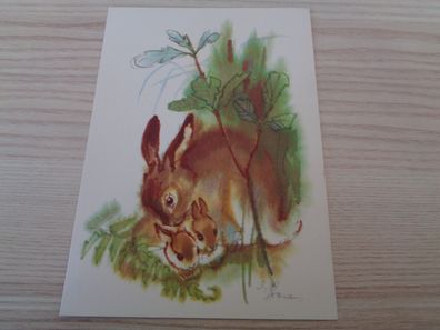 6470/ Ansichtskarte DDR , neutrale Grußkarte -Kaninchen