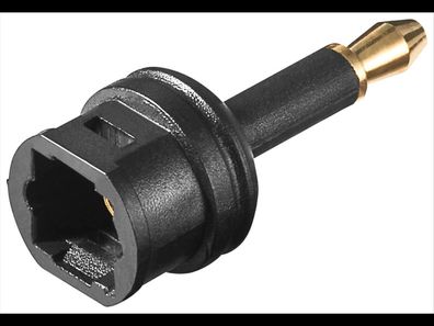 Toslink Digital Audio-Adapter, Toslink zu Mini-TOSLINK