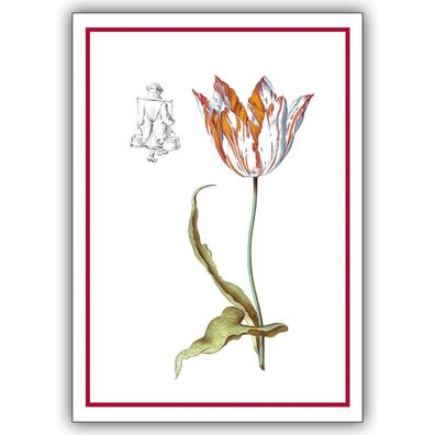 5x Blumen Glückwunsch Klappkarten, Grußkarten mit Tulpe für Garten Freunde, DIN A6 ge