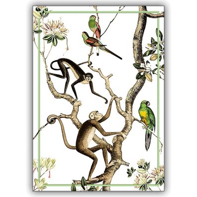 5x Gruß Klappkarten mit Affen und Papageien, DIN A6 gefaltet, inkl Umschlag - 1 0 26