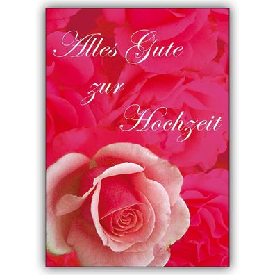 5er Set Hochzeit Gratulationskarten mit rosa Rosen - 2 1 42