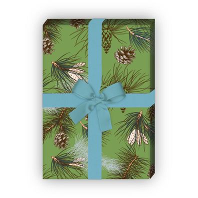 Edles Designer Winter Geschenkpapier mit Kiefer und Lerchen Zapfen, grün - G8681, 32