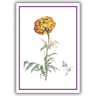 5x Dank Klappkarten, Blumen Grußkarten mit Nelke für Garten Freunde, DIN A6 gefaltet,