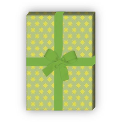 Schönes Sternen Geschenkpapier, Dekorpapier nicht nur zu Weihnachten, grün - G8612