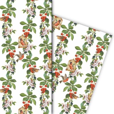 Sommer Geschenkpapier mit Kirschen, Apfel Blüten und Vögeln - G7280, 32 x 48cm
