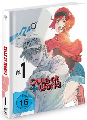 Cells at Work! - Vol.1 - Episoden 1-5 - DVD + Blu-Ray - NEU