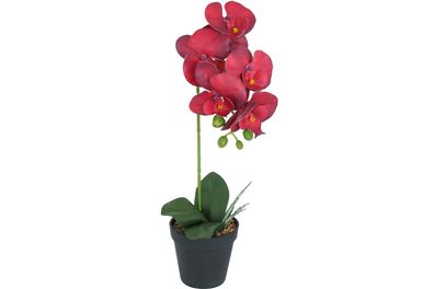 Künstliche Orchidee Rubinrot Lila im Topf Höhe 40 cm Kunstblume Pflanze