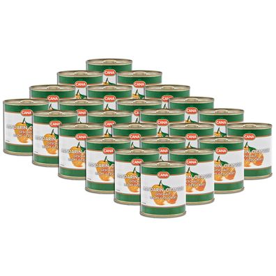 Food-United Mandarinen-orangen-dose 24x 175g von CANA für Obstsalat Dessert Eiscreme