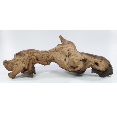 Mopani Wurzel Gr. "L" 30-40cm Holz für Aquarium Terrarium Reptilien HardScape Aquasca