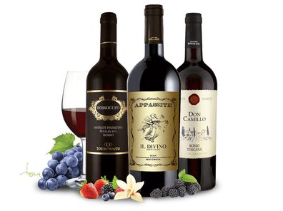 Italien Rotwein-Tipps vom Sommelier trocken