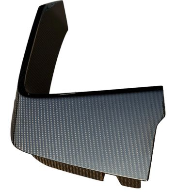 Neu Front Blende Carbon Stossstange Spoiler Bdeckung Audi TT RS TTS 8S0088346A