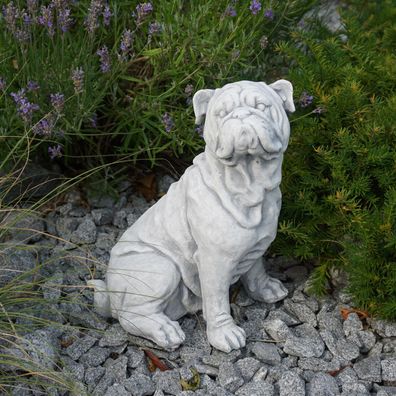 Steinfigur Englische Bulldogge Hund Bully Höhe 32 cm 10 kg frostsicher Steinguss
