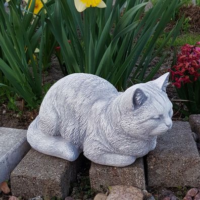 Massive Steinfigur Katze Kätzchen Kater Raumdeko Gartendeko Steinguss frostfest