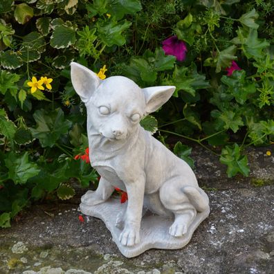 Massive Steinfigur Stein Chihuahua Hund Gartendeko Raumdeko Steinguss frostfest