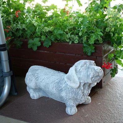 Großer massiver Rauhaardackel Steinfigur Dackel Hund aus Steinguss frostfest