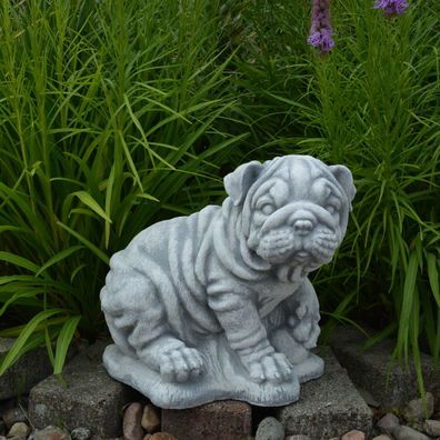 Massive Steinfigur Hund Shar-Pei Tierfigur Gartendeko Raumdeko aus Steinguss