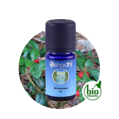 Oshadhi Wintergrün Wintergreen bio 5ml 10ml ätherisches Öl 100% naturrein