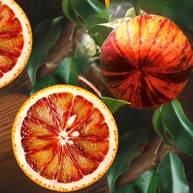 Orangenbaum Arcobal 70-100 cm - Citrus Sinensis ´Arcobal´ - Regenbogen Orange