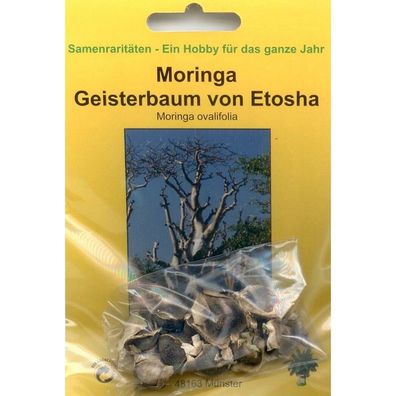 Bonsai - 10 Samen v. Moringa Geisterbaum, Moringa ovalifolia, 90076