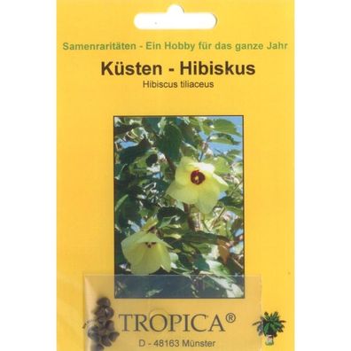 Bonsai - 15 Samen v. Hibiscus tiliaceus, Küsten-Hibiskus, 90053