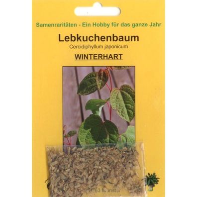Bonsai - 200 Samen v. Cercidiphyllum japonicum, Lebkuchenbaum, 90055