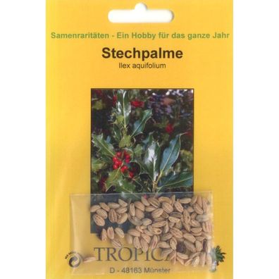 Bonsai - 30 Samen v. Ilex aquifolium, Stechpalme, 90049