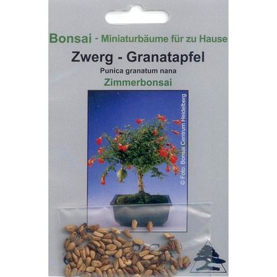 Bonsai - 50 Samen von Punica granatum nana, Zwerg-Granatapfel, 90012