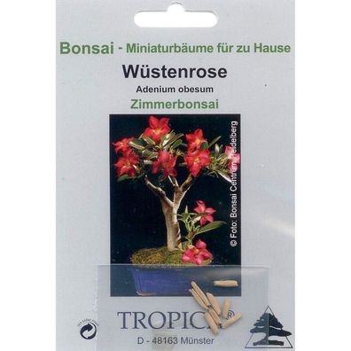 Bonsai - 8 Samen von Wüstenrose, Adenium obesum, 90056