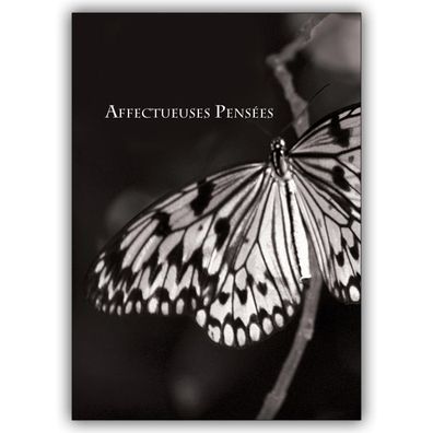 4x Feine Trauerkarte mit Schmetterling, französisch: Affectueuses Pensées